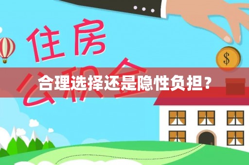 美兰合理选择还是隐性负担？