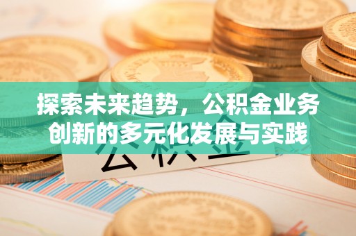 美兰探索未来趋势，公积金业务创新的多元化发展与实践