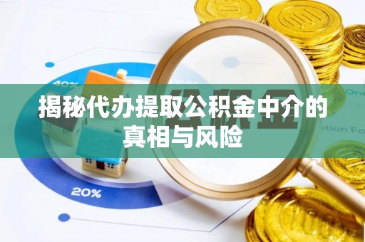 美兰揭秘代办提取公积金中介的真相与风险