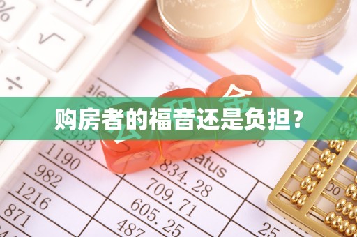 美兰购房者的福音还是负担？