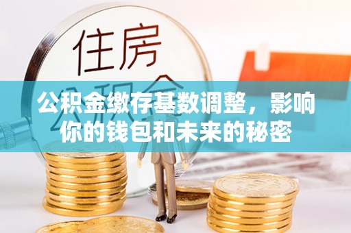 美兰公积金缴存基数调整，影响你的钱包和未来的秘密