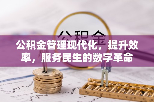 美兰公积金管理现代化，提升效率，服务民生的数字革命