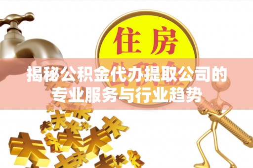 美兰揭秘公积金代办提取公司的专业服务与行业趋势