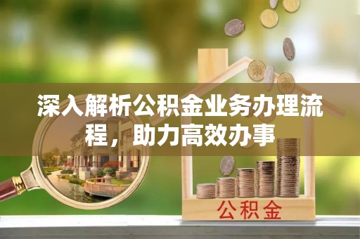美兰深入解析公积金业务办理流程，助力高效办事