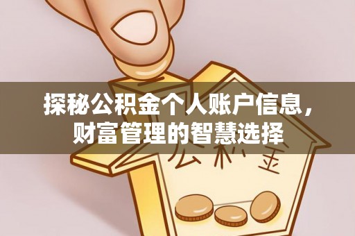 美兰探秘公积金个人账户信息，财富管理的智慧选择