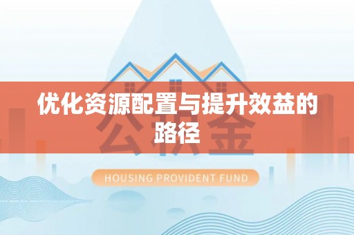 美兰优化资源配置与提升效益的路径