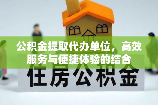 美兰公积金提取代办单位，高效服务与便捷体验的结合