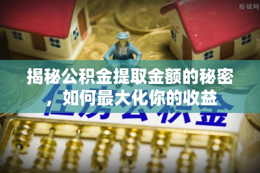 美兰揭秘公积金提取金额的秘密，如何最大化你的收益