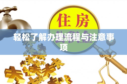 美兰轻松了解办理流程与注意事项