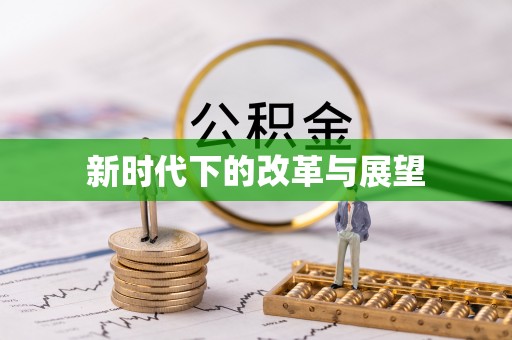 美兰新时代下的改革与展望