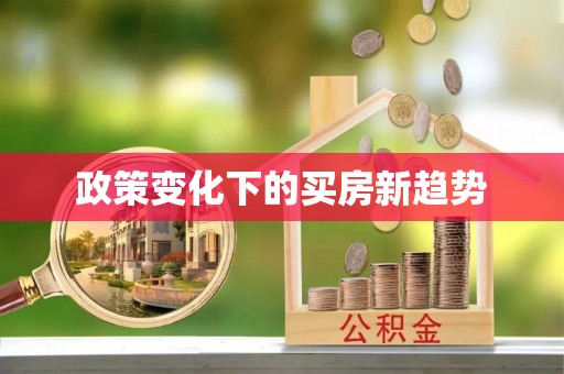 美兰政策变化下的买房新趋势
