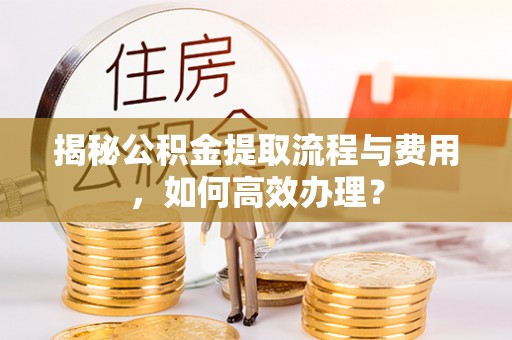 美兰揭秘公积金提取流程与费用，如何高效办理？