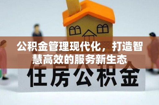 美兰公积金管理现代化，打造智慧高效的服务新生态
