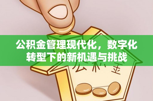 美兰公积金管理现代化，数字化转型下的新机遇与挑战