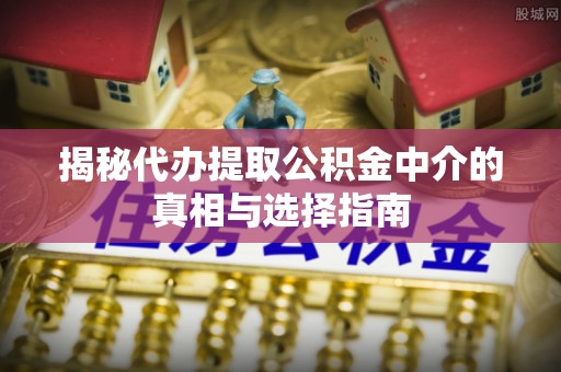 美兰揭秘代办提取公积金中介的真相与选择指南