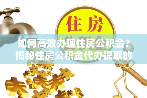 美兰如何高效办理住房公积金？揭秘住房公积金代办提取的全流程与优势
