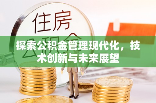 美兰探索公积金管理现代化，技术创新与未来展望