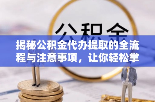 美兰揭秘公积金代办提取的全流程与注意事项，让你轻松掌握财富管理新技能