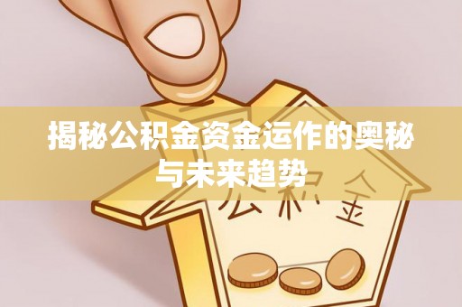美兰揭秘公积金资金运作的奥秘与未来趋势