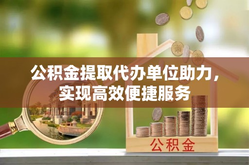 美兰公积金提取代办单位助力，实现高效便捷服务