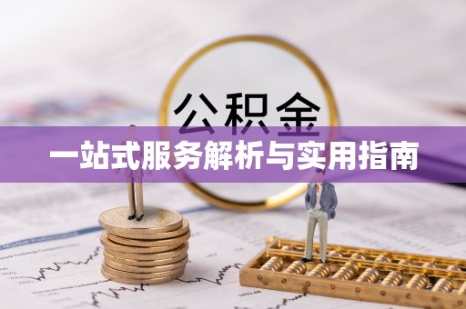 美兰一站式服务解析与实用指南