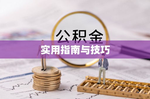 美兰实用指南与技巧