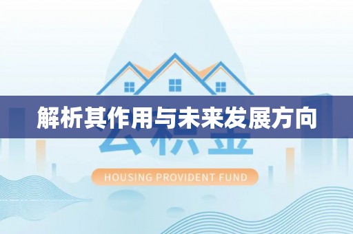 美兰解析其作用与未来发展方向