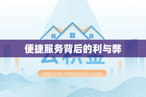美兰便捷服务背后的利与弊