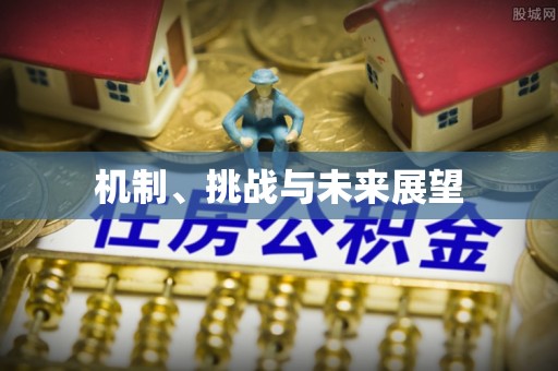 美兰机制、挑战与未来展望