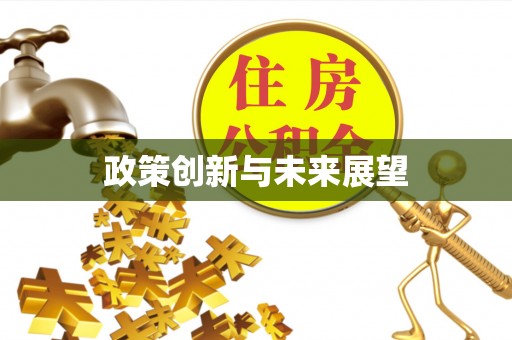 美兰政策创新与未来展望