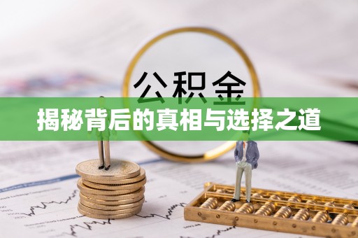 美兰揭秘背后的真相与选择之道